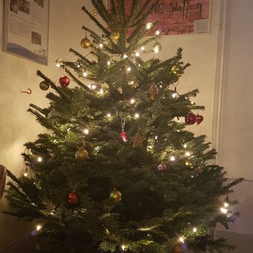 Einen Weihnachtsbaum für das SCHIRM-Projekt