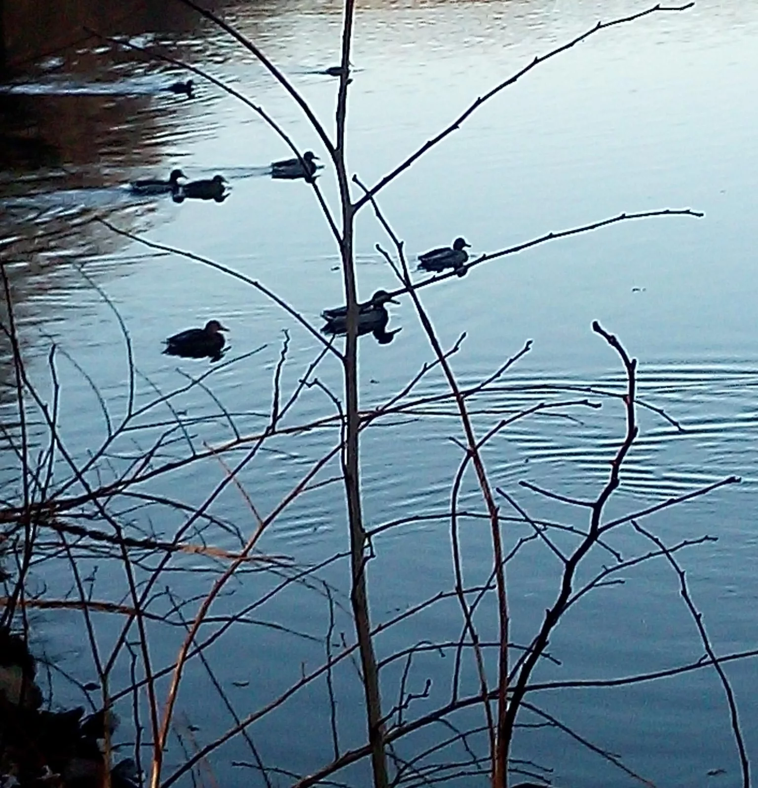 Ausflug der Begegnungsstätte