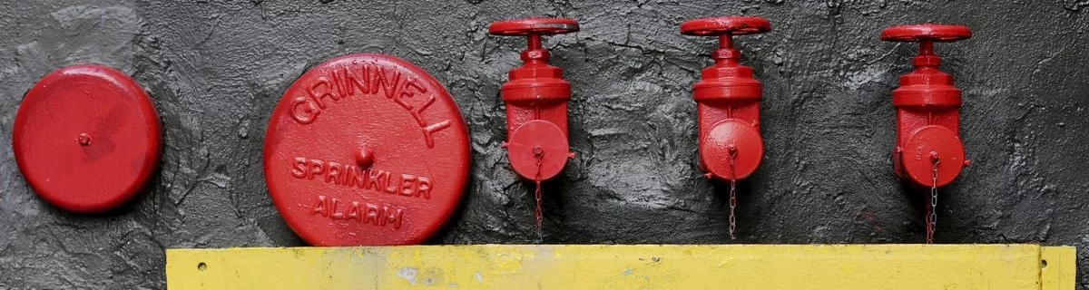 Delinquenz und Resilienz