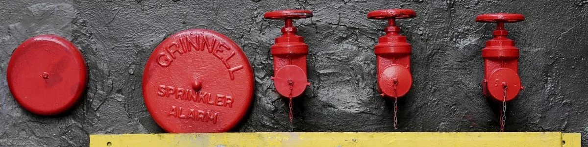 Delinquenz und Resilienz