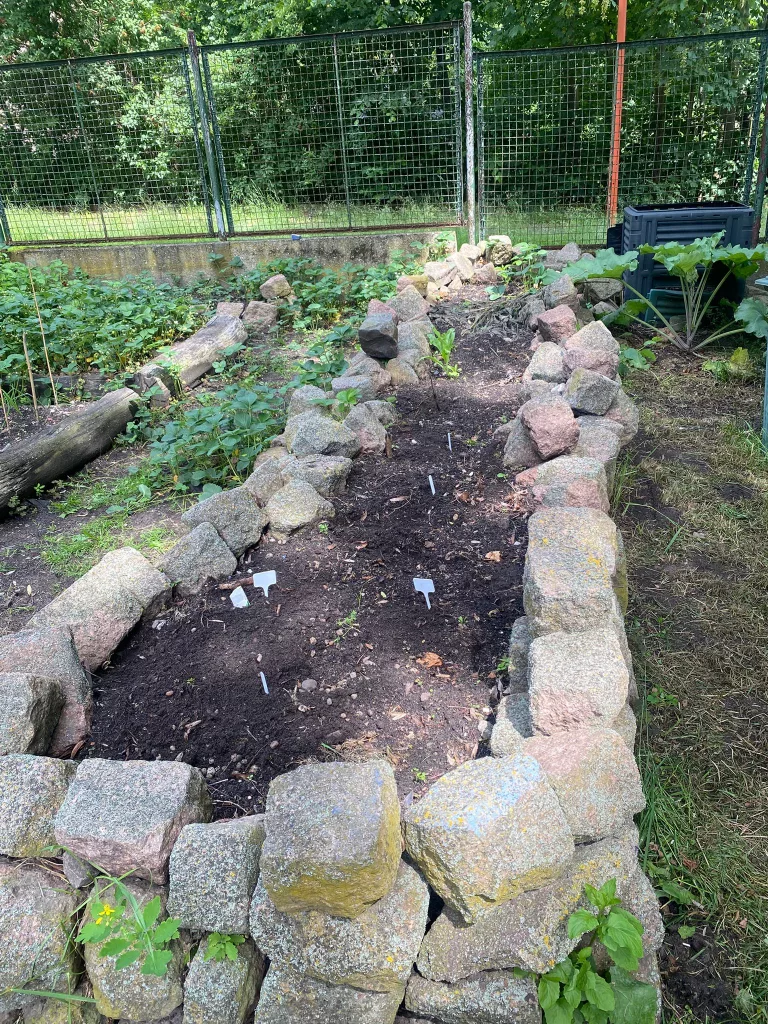 Garten Beet 3